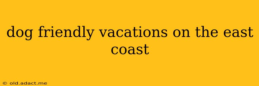 dog friendly vacations on the east coast