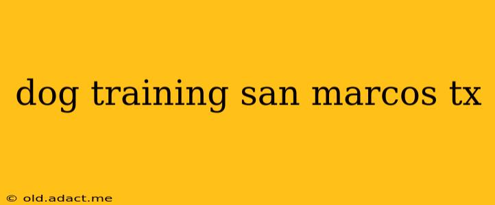 dog training san marcos tx