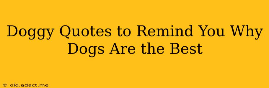 Doggy Quotes to Remind You Why Dogs Are the Best