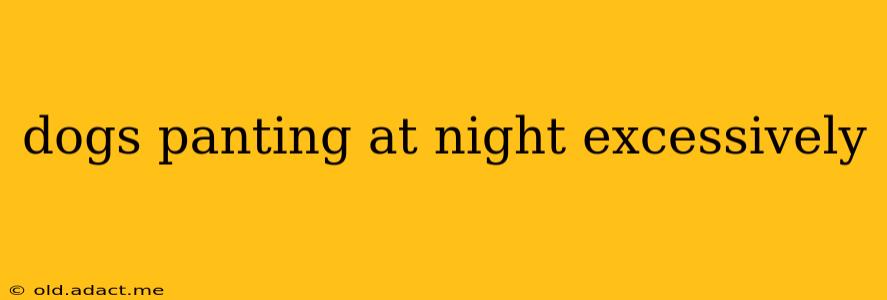 dogs panting at night excessively