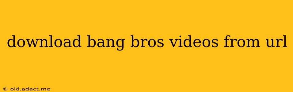 download bang bros videos from url