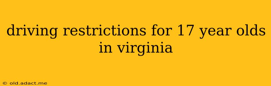 driving restrictions for 17 year olds in virginia