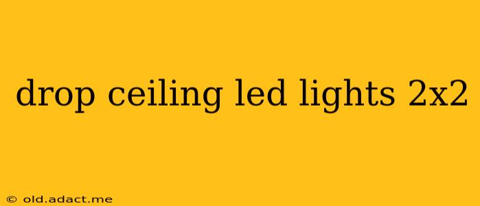drop ceiling led lights 2x2