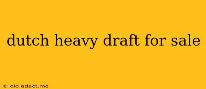 dutch heavy draft for sale