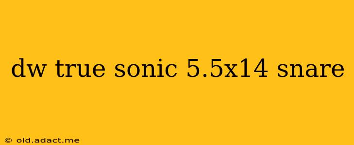 dw true sonic 5.5x14 snare