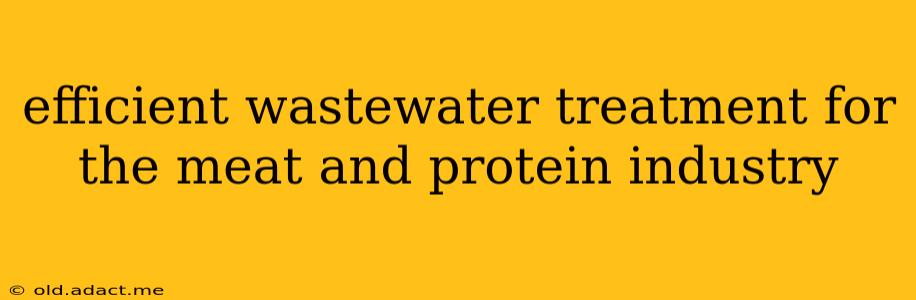 efficient wastewater treatment for the meat and protein industry