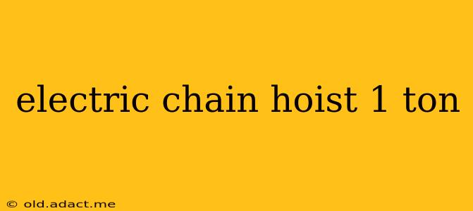 electric chain hoist 1 ton