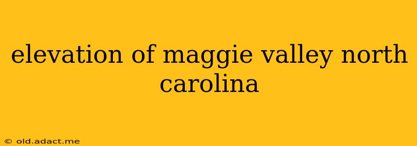 elevation of maggie valley north carolina