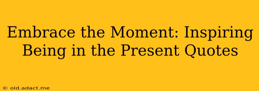 Embrace the Moment: Inspiring Being in the Present Quotes