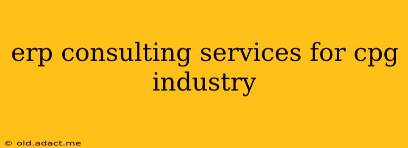 erp consulting services for cpg industry