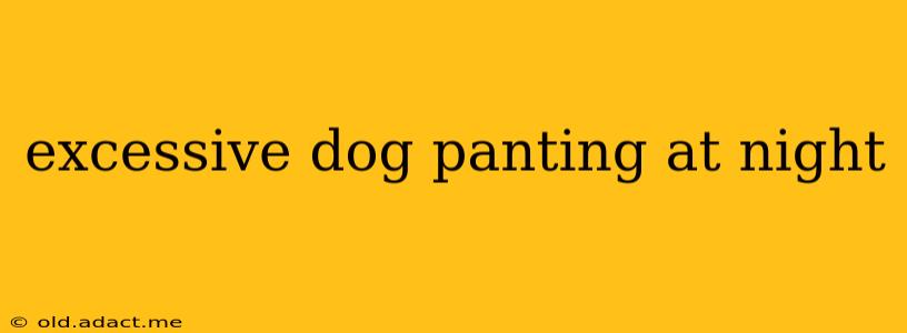 excessive dog panting at night
