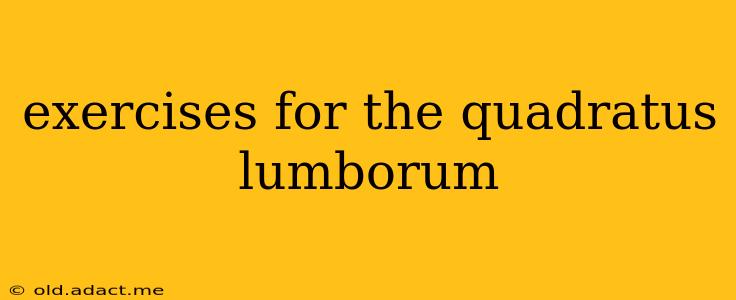 exercises for the quadratus lumborum