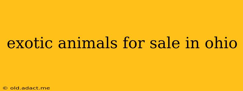 exotic animals for sale in ohio