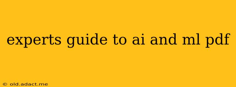 experts guide to ai and ml pdf