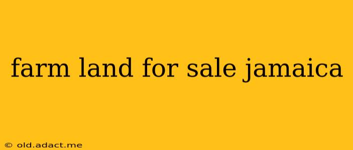 farm land for sale jamaica