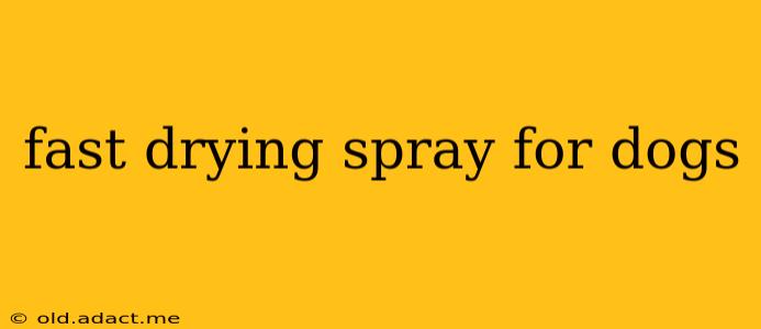 fast drying spray for dogs