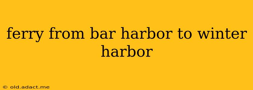 ferry from bar harbor to winter harbor