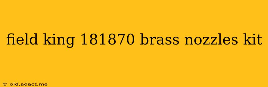 field king 181870 brass nozzles kit