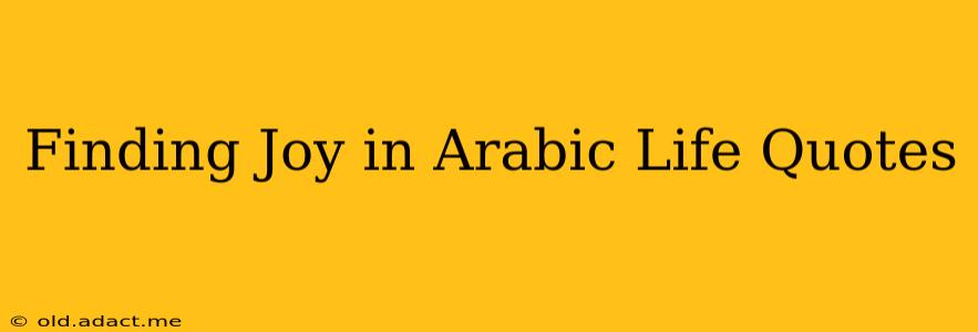 Finding Joy in Arabic Life Quotes