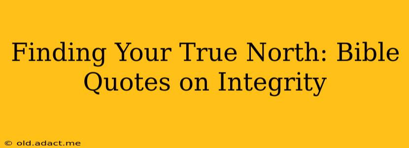 Finding Your True North: Bible Quotes on Integrity