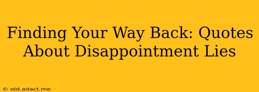 Finding Your Way Back: Quotes About Disappointment Lies
