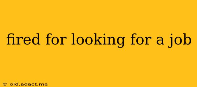 fired for looking for a job