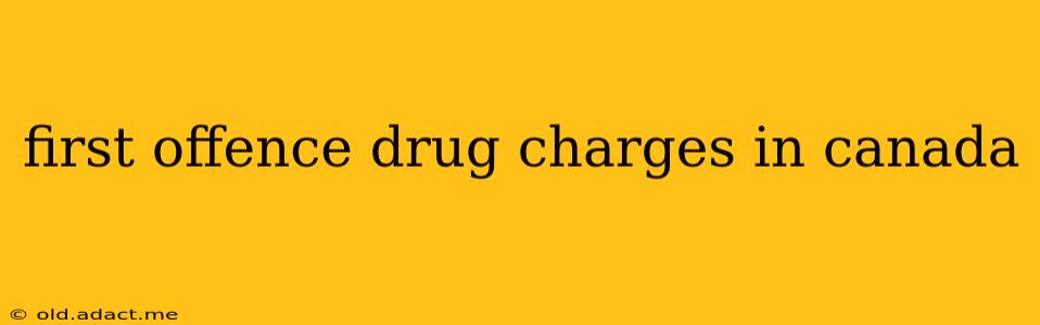 first offence drug charges in canada