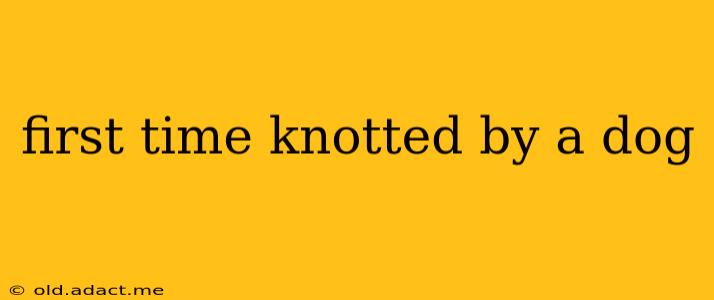 first time knotted by a dog