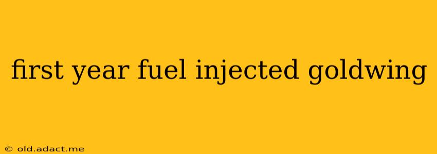 first year fuel injected goldwing