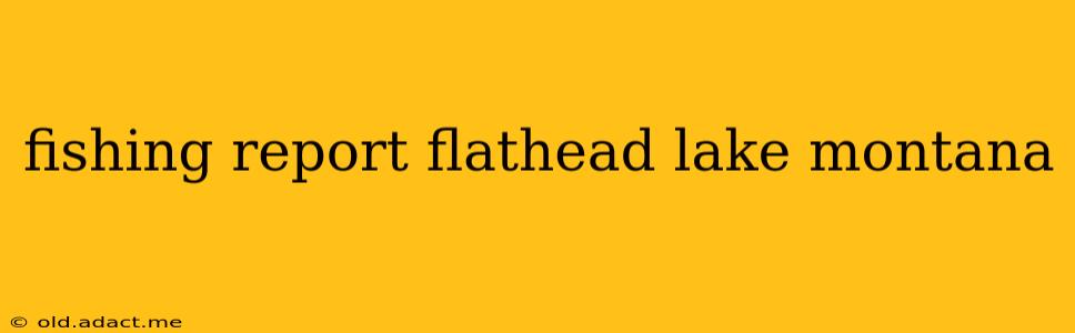 fishing report flathead lake montana