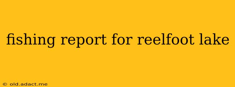 fishing report for reelfoot lake