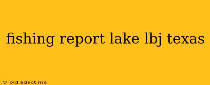 fishing report lake lbj texas