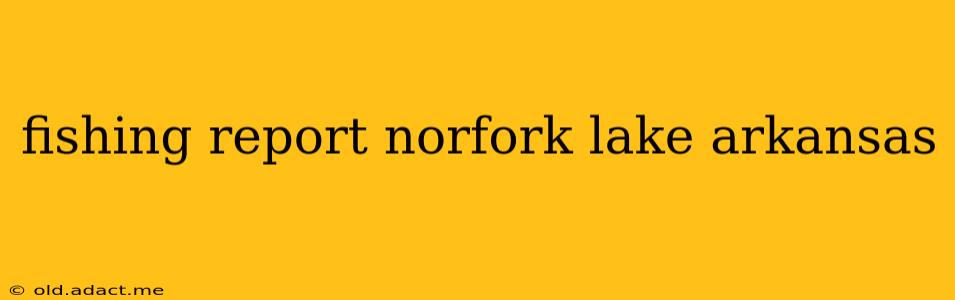 fishing report norfork lake arkansas