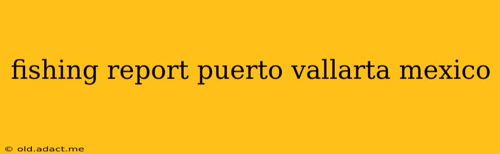 fishing report puerto vallarta mexico