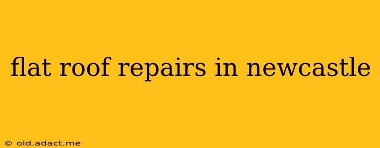 flat roof repairs in newcastle