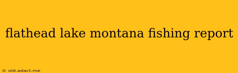 flathead lake montana fishing report