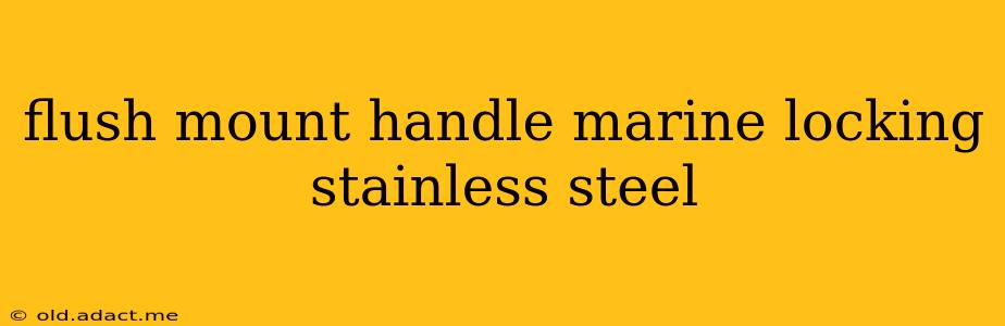 flush mount handle marine locking stainless steel
