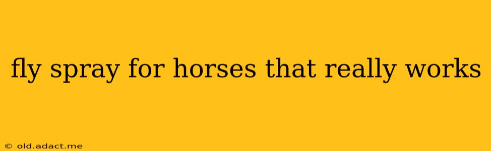 fly spray for horses that really works