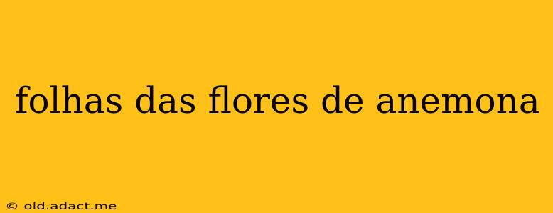 folhas das flores de anemona