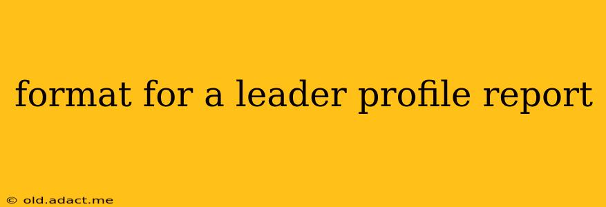 format for a leader profile report