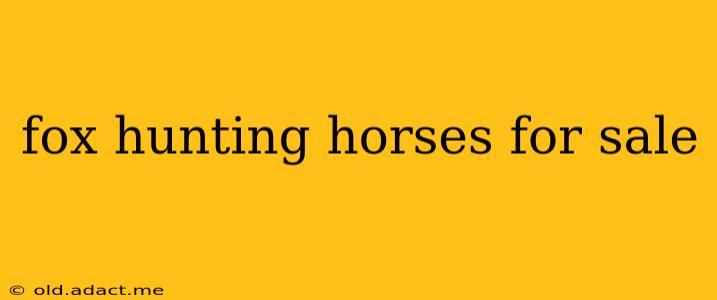 fox hunting horses for sale