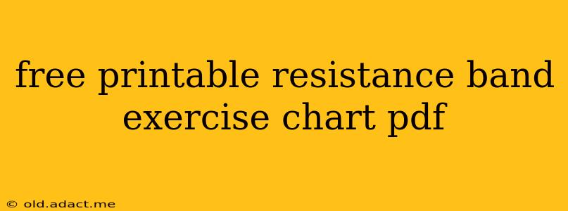 free printable resistance band exercise chart pdf