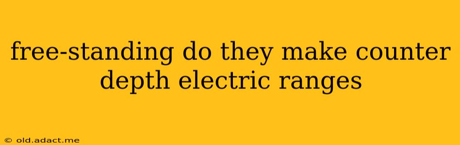 free-standing do they make counter depth electric ranges