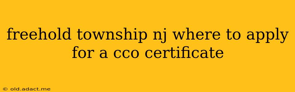 freehold township nj where to apply for a cco certificate