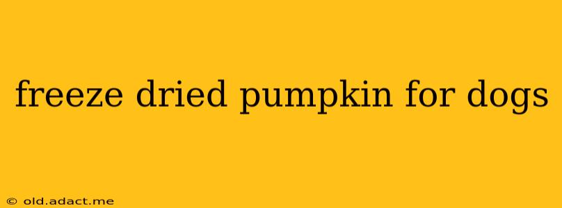freeze dried pumpkin for dogs