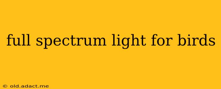 full spectrum light for birds
