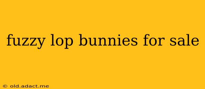 fuzzy lop bunnies for sale