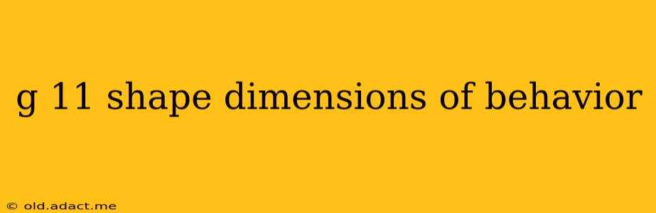 g 11 shape dimensions of behavior