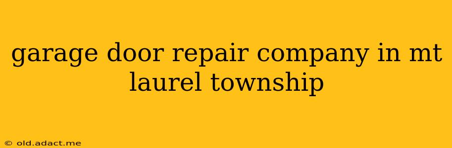 garage door repair company in mt laurel township