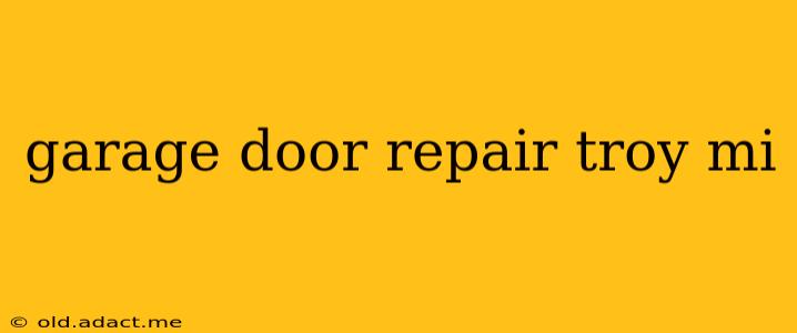 garage door repair troy mi